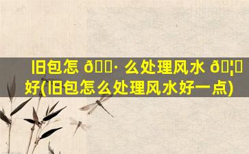 旧包怎 🌷 么处理风水 🦋 好(旧包怎么处理风水好一点)